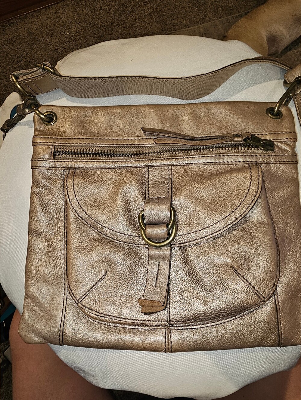 Leather Fossil Crossbody Bag in Metallic Taupe